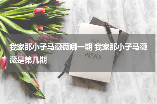 我家那小子马薇薇哪一期 我家那小子马薇薇是第几期