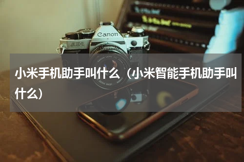 小米手机助手叫什么（小米智能手机助手叫什么）
