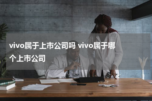 vivo属于上市公司吗 vivo属于哪个上市公司