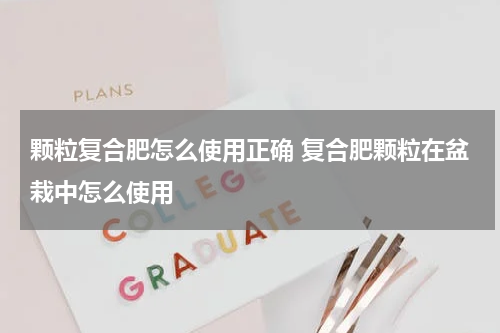 颗粒复合肥怎么使用正确 复合肥颗粒在盆栽中怎么使用