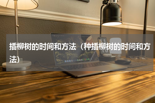插柳树的时间和方法（种插柳树的时间和方法）