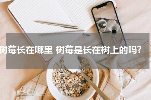 树莓长在哪里 树莓是长在树上的吗?