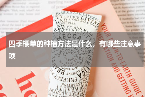 四季樱草的种植方法是什么，有哪些注意事项