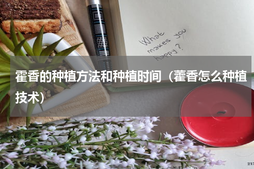 霍香的种植方法和种植时间（藿香怎么种植技术）