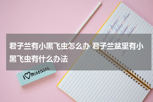 君子兰有小黑飞虫怎么办 君子兰盆里有小黑飞虫有什么办法