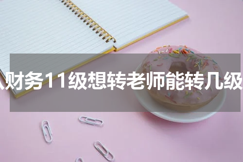 从财务11级想转老师能转几级