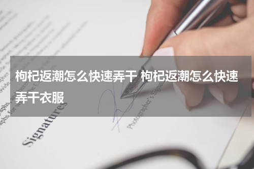 枸杞返潮怎么快速弄干 枸杞返潮怎么快速弄干衣服