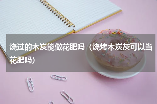 烧过的木炭能做花肥吗（烧烤木炭灰可以当花肥吗）