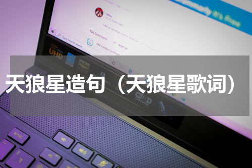 天狼星造句（天狼星歌词）