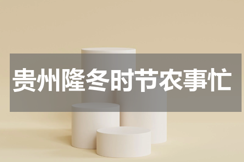 贵州隆冬时节农事忙