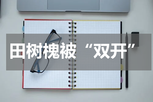 田树槐被“双开”