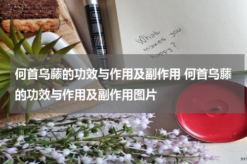 何首乌藤的功效与作用及副作用 何首乌藤的功效与作用及副作用图片