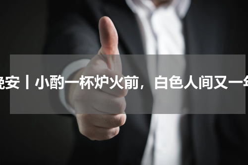 晚安丨小酌一杯炉火前，白色人间又一年