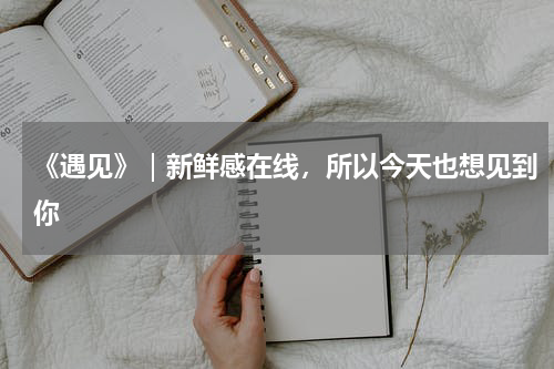 《遇见》｜新鲜感在线，所以今天也想见到你