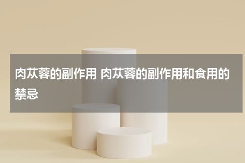 肉苁蓉的副作用 肉苁蓉的副作用和食用的禁忌