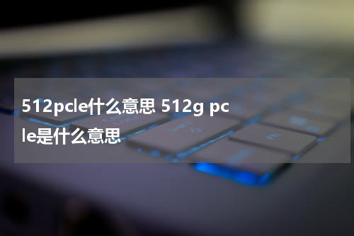 512pcle什么意思 512g pcle是什么意思