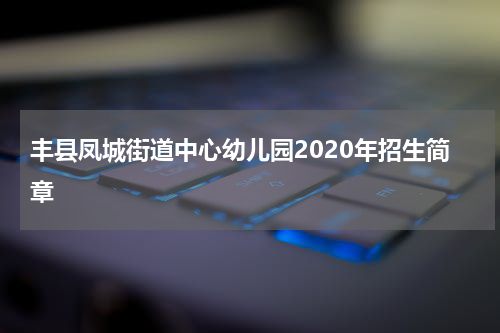 丰县凤城街道中心幼儿园2020年招生简章