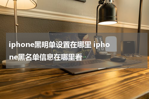 iphone黑明单设置在哪里 iphone黑名单信息在哪里看
