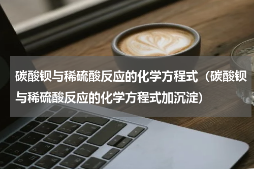 碳酸钡与稀硫酸反应的化学方程式（碳酸钡与稀硫酸反应的化学方程式加沉淀）