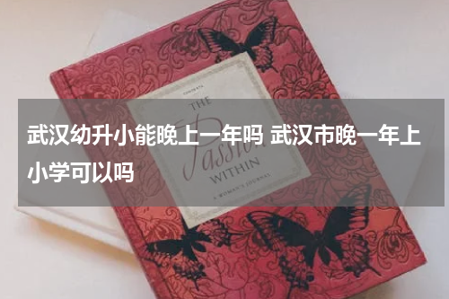 武汉幼升小能晚上一年吗 武汉市晚一年上小学可以吗