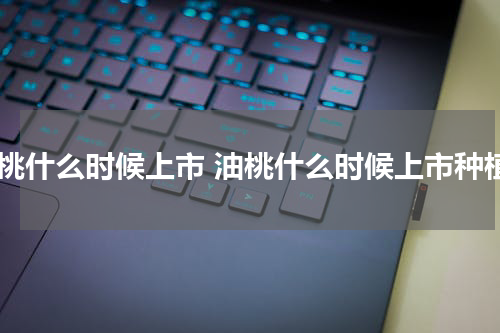 油桃什么时候上市 油桃什么时候上市种植