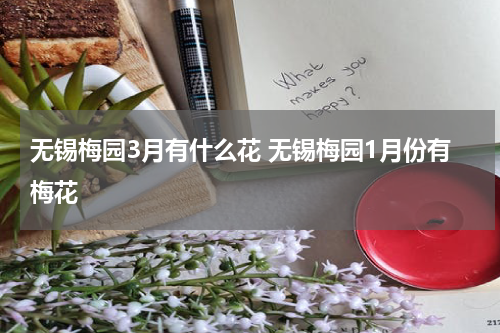 无锡梅园3月有什么花 无锡梅园1月份有梅花