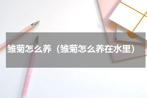 雏菊怎么养（雏菊怎么养在水里）