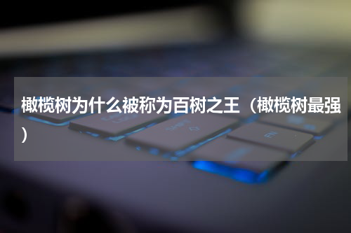 橄榄树为什么被称为百树之王（橄榄树最强）