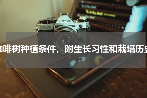 咖啡树种植条件，附生长习性和栽培历史