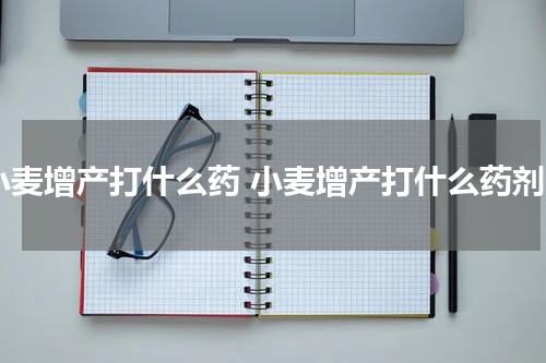 小麦增产打什么药 小麦增产打什么药剂