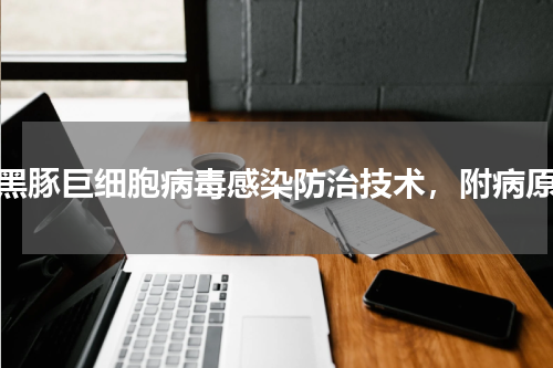 黑豚巨细胞病毒感染防治技术，附病原