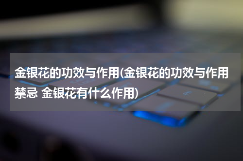 金银花的功效与作用(金银花的功效与作用禁忌 金银花有什么作用)