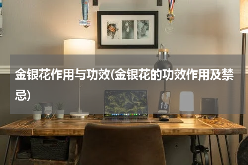 金银花作用与功效(金银花的功效作用及禁忌)