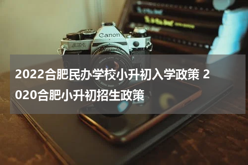 2022合肥民办学校小升初入学政策 2020合肥小升初招生政策