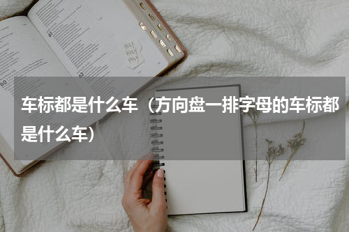 车标都是什么车（方向盘一排字母的车标都是什么车）