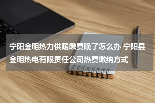 宁阳金明热力供暖缴费晚了怎么办 宁阳县金明热电有限责任公司热费缴纳方式