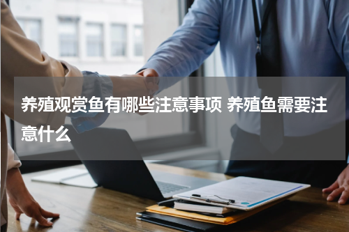 养殖观赏鱼有哪些注意事项 养殖鱼需要注意什么