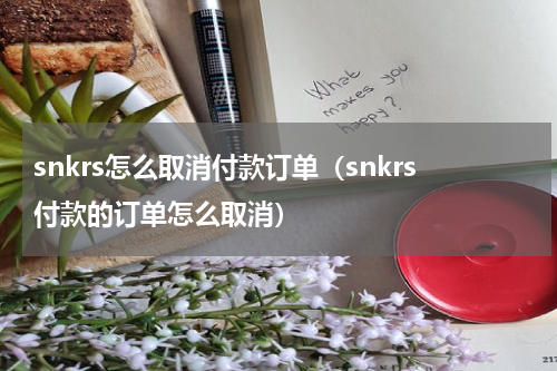 snkrs怎么取消付款订单（snkrs付款的订单怎么取消）