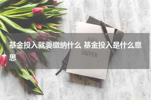 基金投入就要缴纳什么 基金投入是什么意思