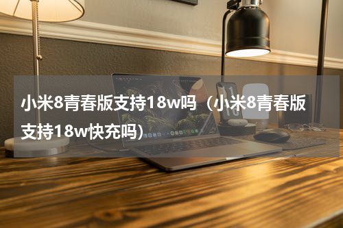 小米8青春版支持18w吗（小米8青春版支持18w快充吗）