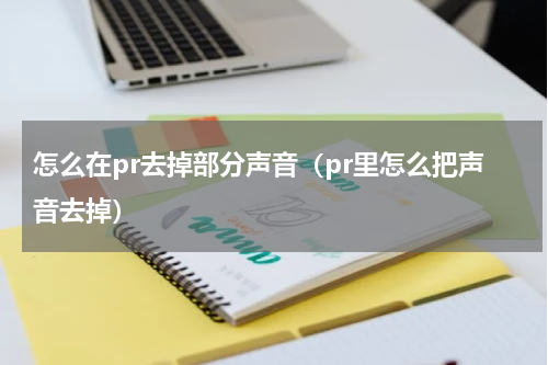 怎么在pr去掉部分声音（pr里怎么把声音去掉）