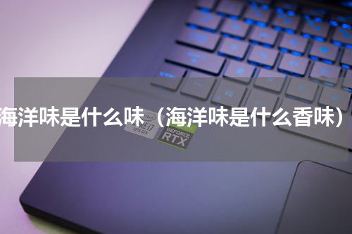海洋味是什么味（海洋味是什么香味）