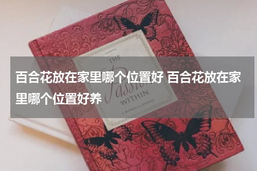 百合花放在家里哪个位置好 百合花放在家里哪个位置好养