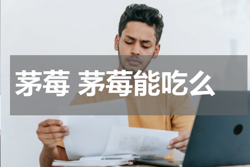 茅莓 茅莓能吃么