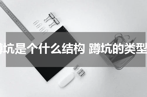 蹲坑是个什么结构 蹲坑的类型