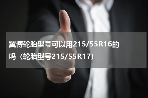 翼博轮胎型号可以用215/55R16的吗（轮胎型号215/55R17）