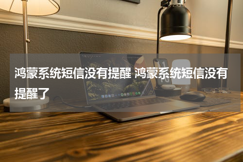 鸿蒙系统短信没有提醒 鸿蒙系统短信没有提醒了