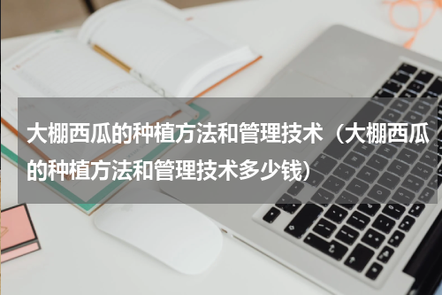 大棚西瓜的种植方法和管理技术（大棚西瓜的种植方法和管理技术多少钱）
