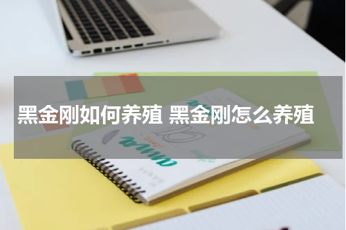 黑金刚如何养殖 黑金刚怎么养殖