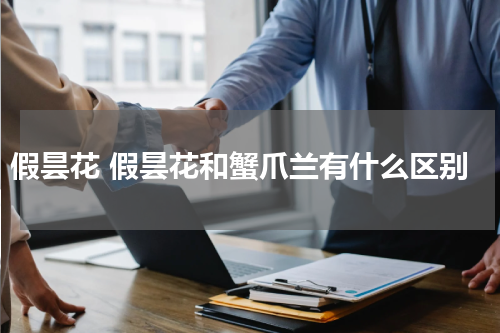 假昙花 假昙花和蟹爪兰有什么区别